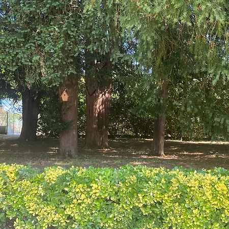 Domaine De La Mouleyre Proche Bordeaux, Fraicheur Des Murs En Pierre فيلة