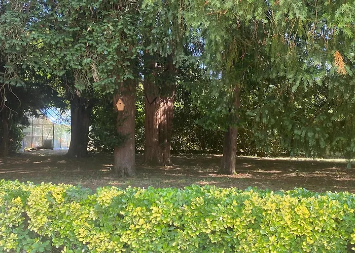 Domaine De La Mouleyre A Cenac Proche Bordeaux ヴィラ